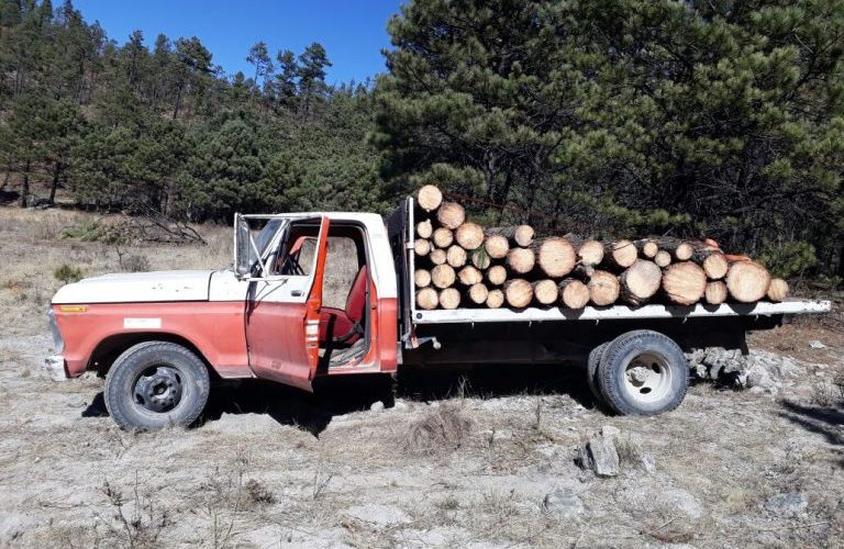 Aseguran agentes investigadores troca cargada con madera en rollo talada clandestinamente