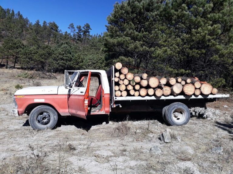 Aseguran agentes investigadores troca cargada con madera en rollo talada clandestinamente