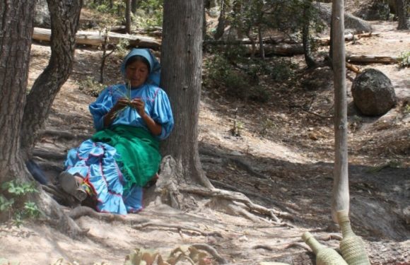 Visita : Chihuahua, el Estado más grande la República mexicana