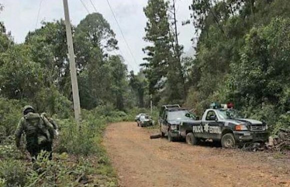 Investiga Fiscalía el homicidio de cinco personas en Guachochi