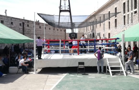 Ceresos de Juárez y Chihuahua obtienen primeros lugares en torneo de box
