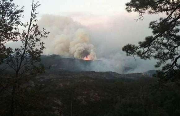 Madera | Coordina Proteccion Civil estatal acciones para sofocar incendio en Madera