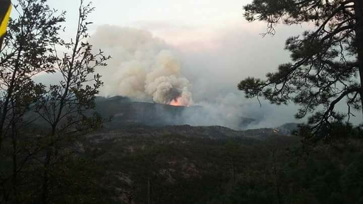 Madera | Coordina Proteccion Civil estatal acciones para sofocar incendio en Madera