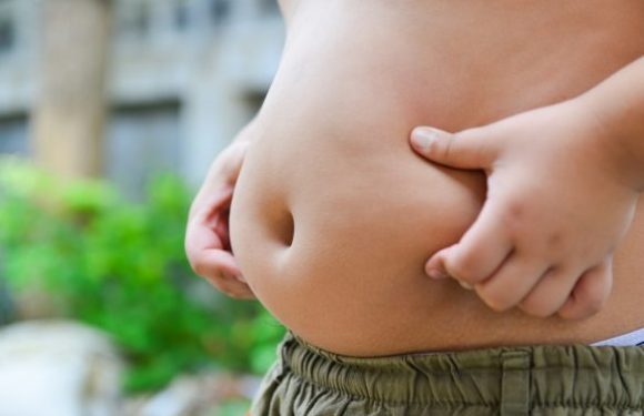 Obesidad, problema grave para salud infantil: Diputados