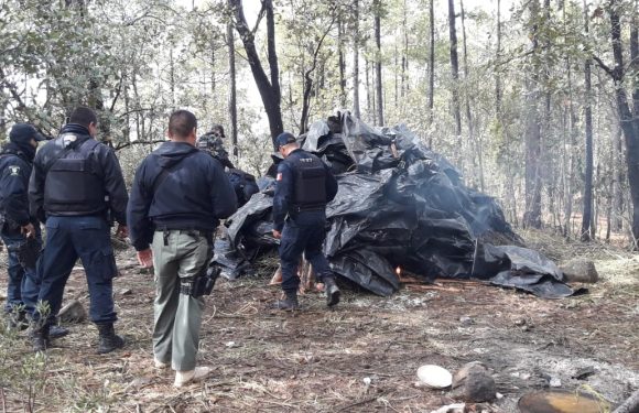 Encuentran narco campamento en Urique, encuentran 200 kg de mariguana