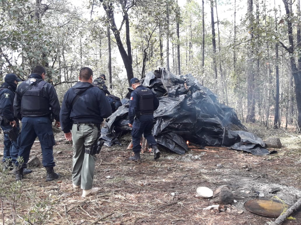 Encuentran narco campamento en Urique, encuentran 200 kg de mariguana