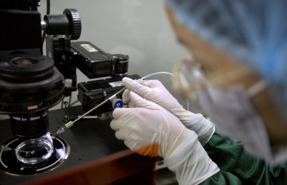 China regula los ensayos biotecnológicos tras escándalo de edición de genes