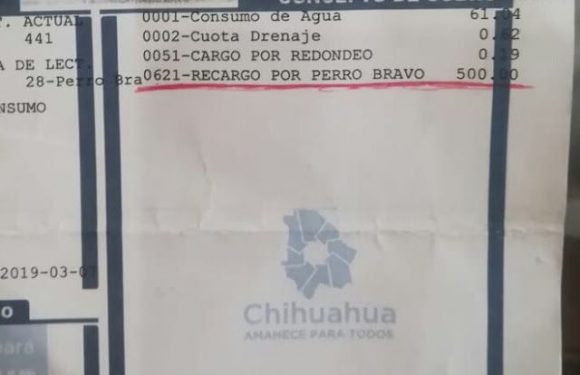 Cuauhtemoc | Junta de aguas pone recargo por tener “perro bravo”