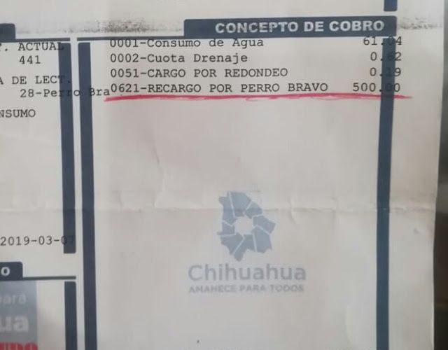 Cuauhtemoc | Junta de aguas pone recargo por tener “perro bravo”