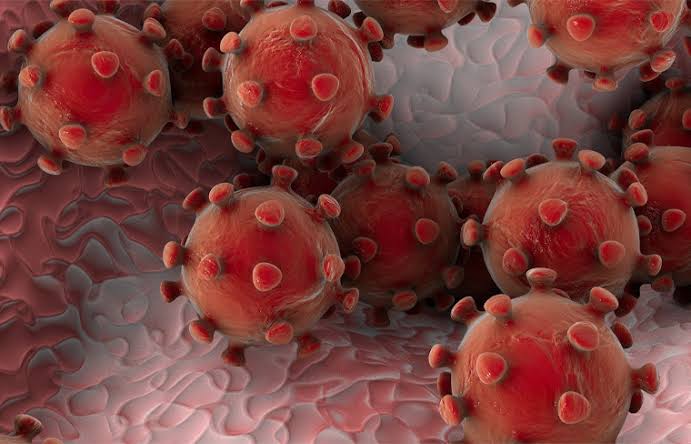 #Nacional | Confirman primer caso de coronavirus en México
