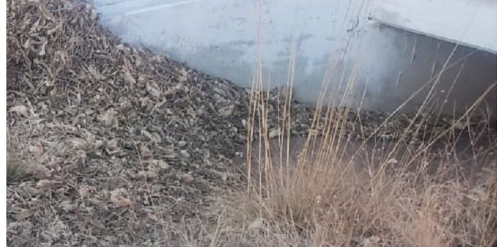 Le dan balazo en la cabeza después de apuñalarlo en varias ocasiones.
