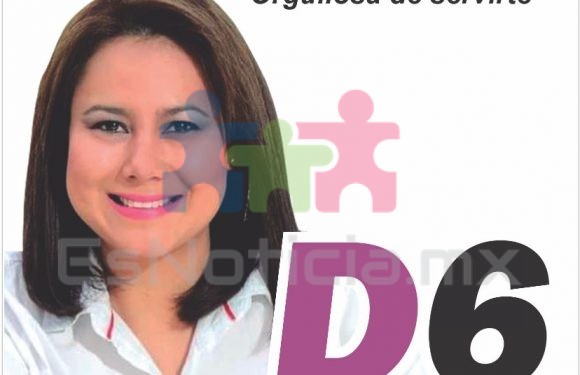 Heidi Segovia se registra como precandidata al D6 por Morena