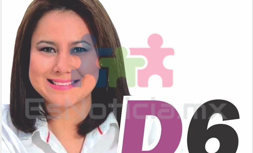 Heidi Segovia se registra como precandidata al D6 por Morena