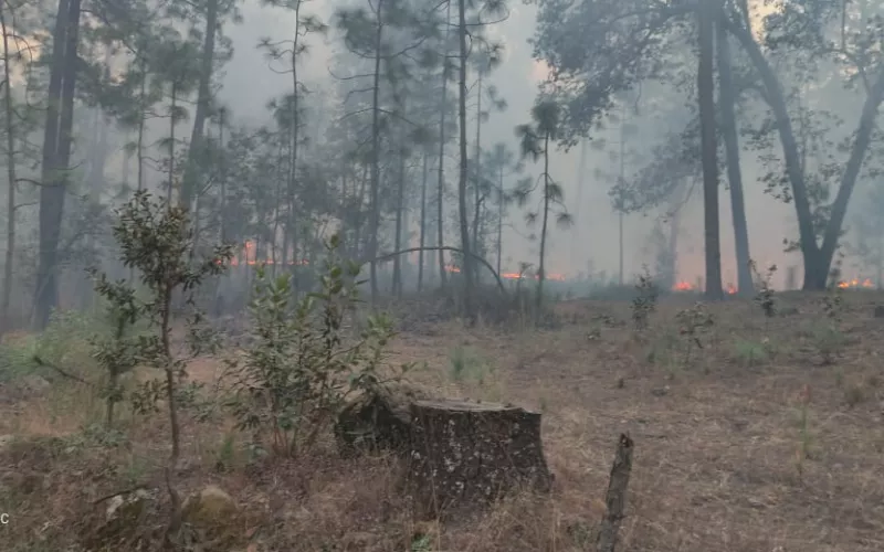 Ayudan a afectados por incendio en Talayotes
