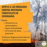 Urge apoyo a brigadas contra incendios: Benjamín Carrera