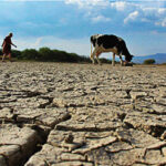Cuatro de siete municipios con “sequía excepcional” en México agonizan por falta de agua y están en Chihuahua